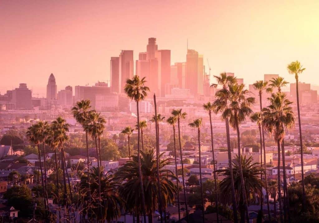 Los Angeles cityline landscape with palm trees