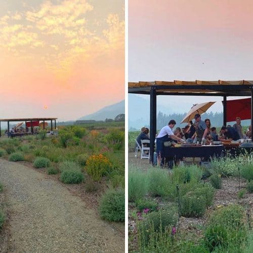 Outdoor dining table at Troon Vineyard