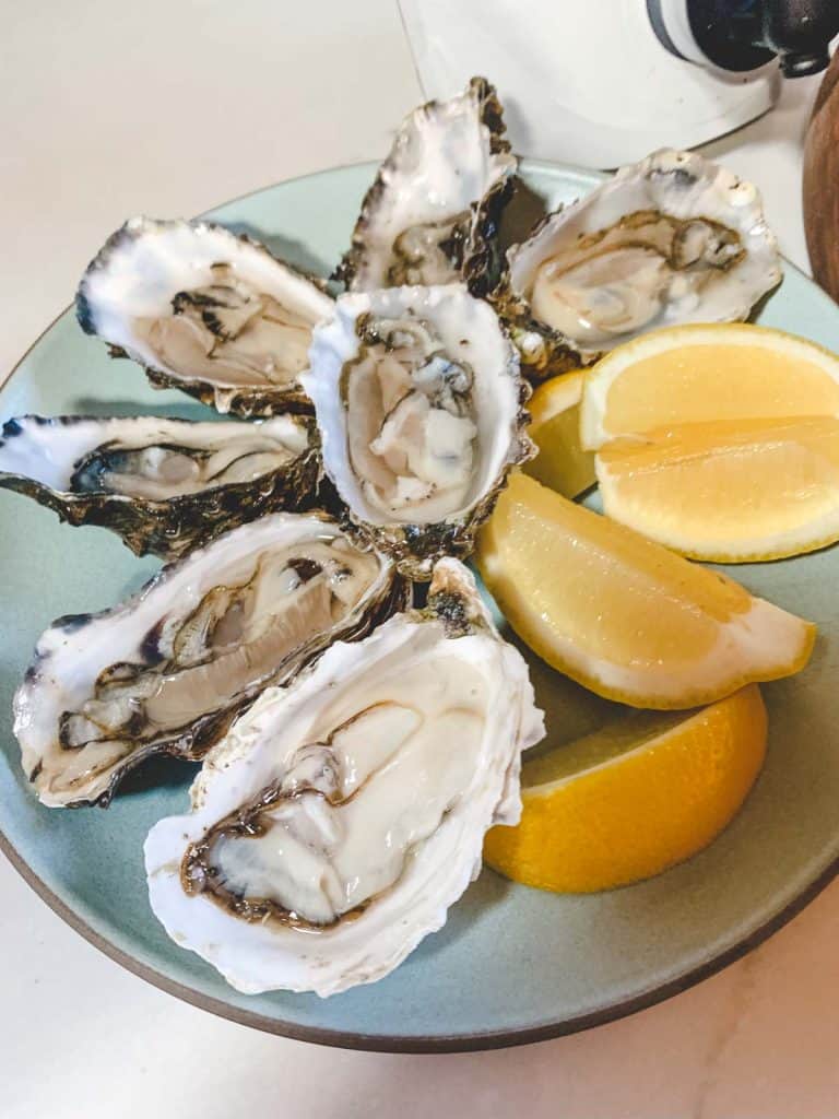 oysters on the half shell on a blue plate with lemon wedges
