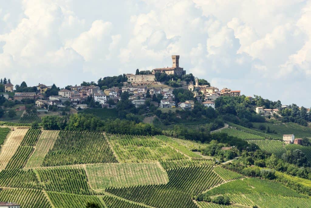 Vineyards in Oltrepo Pavese Italy