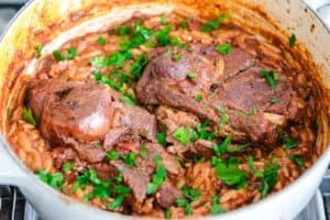 Lamb Manastra in a gray pot